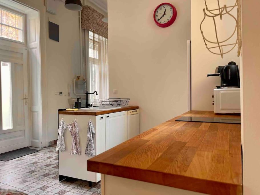 Knezits Spacious Ac Terrace Free Parking Budapesta Exterior foto