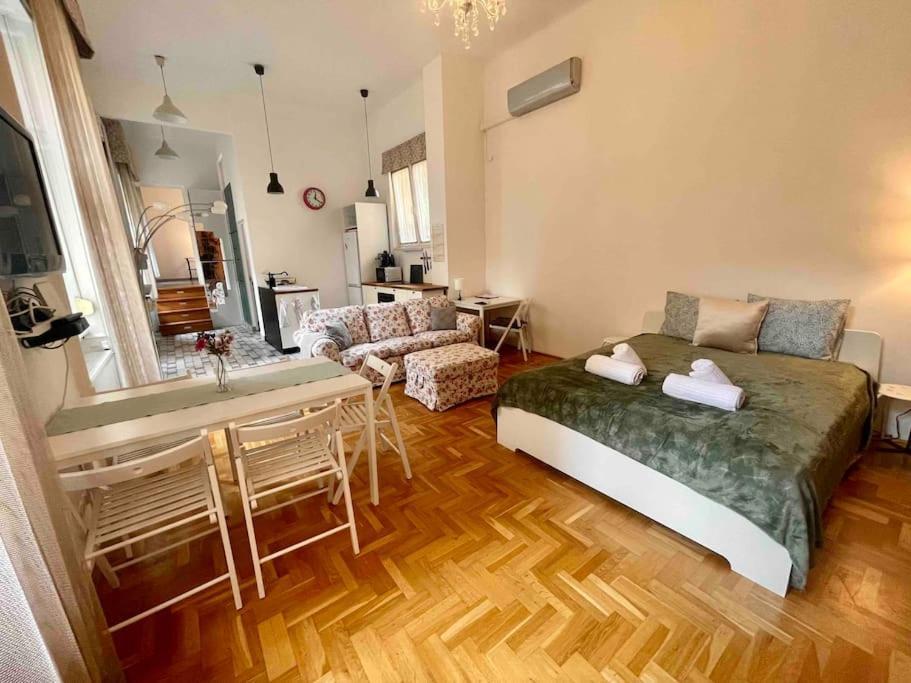 Knezits Spacious Ac Terrace Free Parking Budapesta Exterior foto