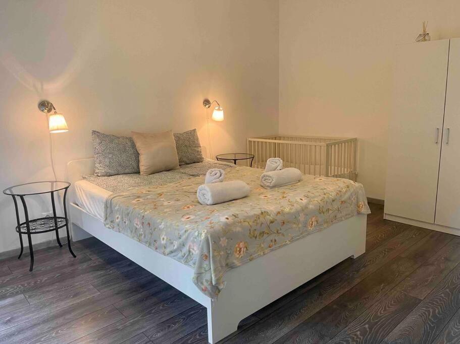 Knezits Spacious Ac Terrace Free Parking Budapesta Exterior foto
