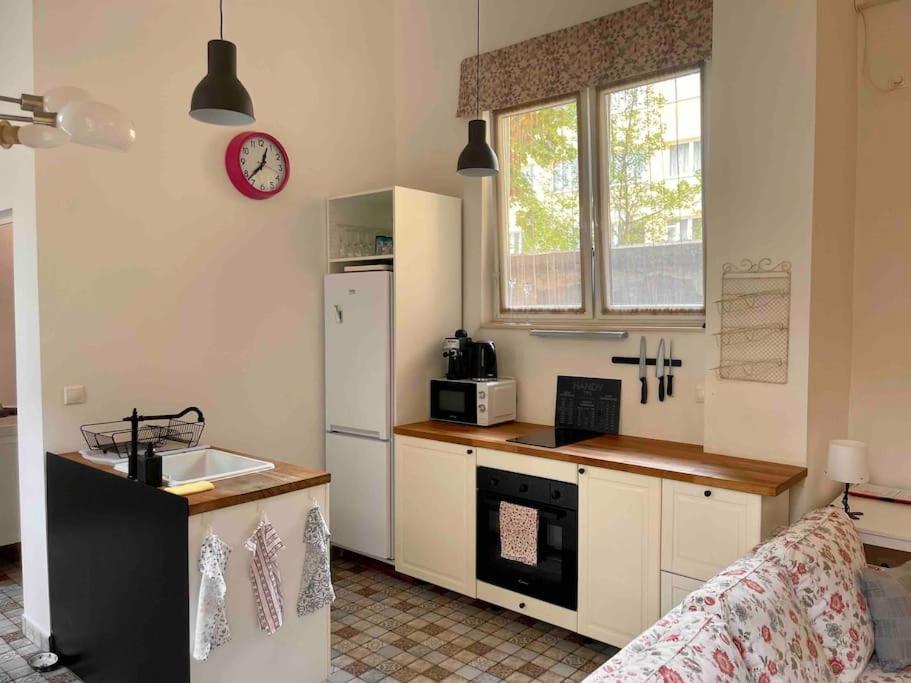 Knezits Spacious Ac Terrace Free Parking Budapesta Exterior foto
