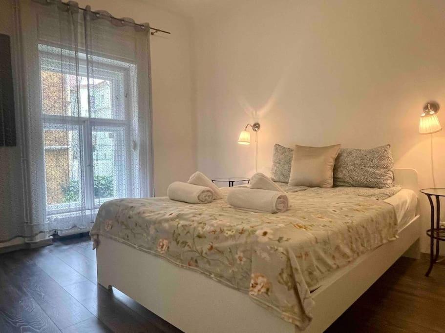 Knezits Spacious Ac Terrace Free Parking Budapesta Exterior foto